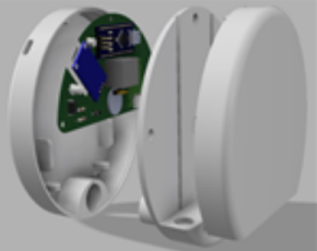 Internal Structure Image